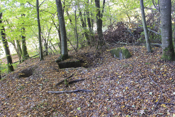 Ligne Maginot - HELLENWALD 8 - (Cuve pour arme d'infanterie) - 