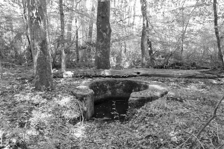 Ligne Maginot - HUEHNERBERG (TD N° 173) - (Cuve pour arme d'infanterie) - Vue générale