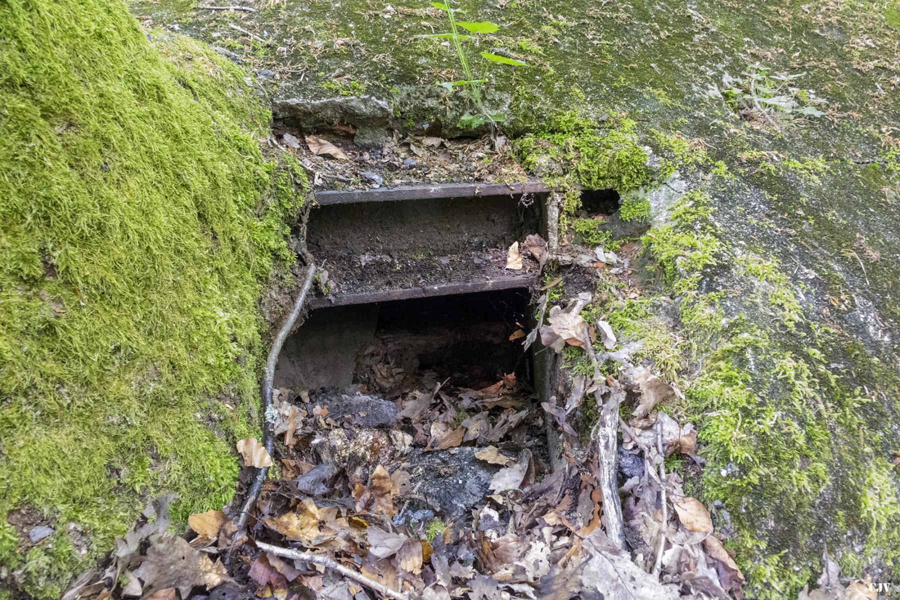 Ligne Maginot - HUEHNERBERG 3 - (Blockhaus pour arme infanterie) - Un des créneaux
