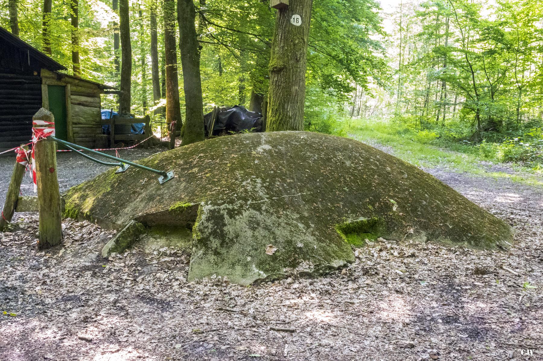 Ligne Maginot - HUEHNERBERG 3 - (Blockhaus pour arme infanterie) - Le dôme qui ressemble un peu la casemate Pamart