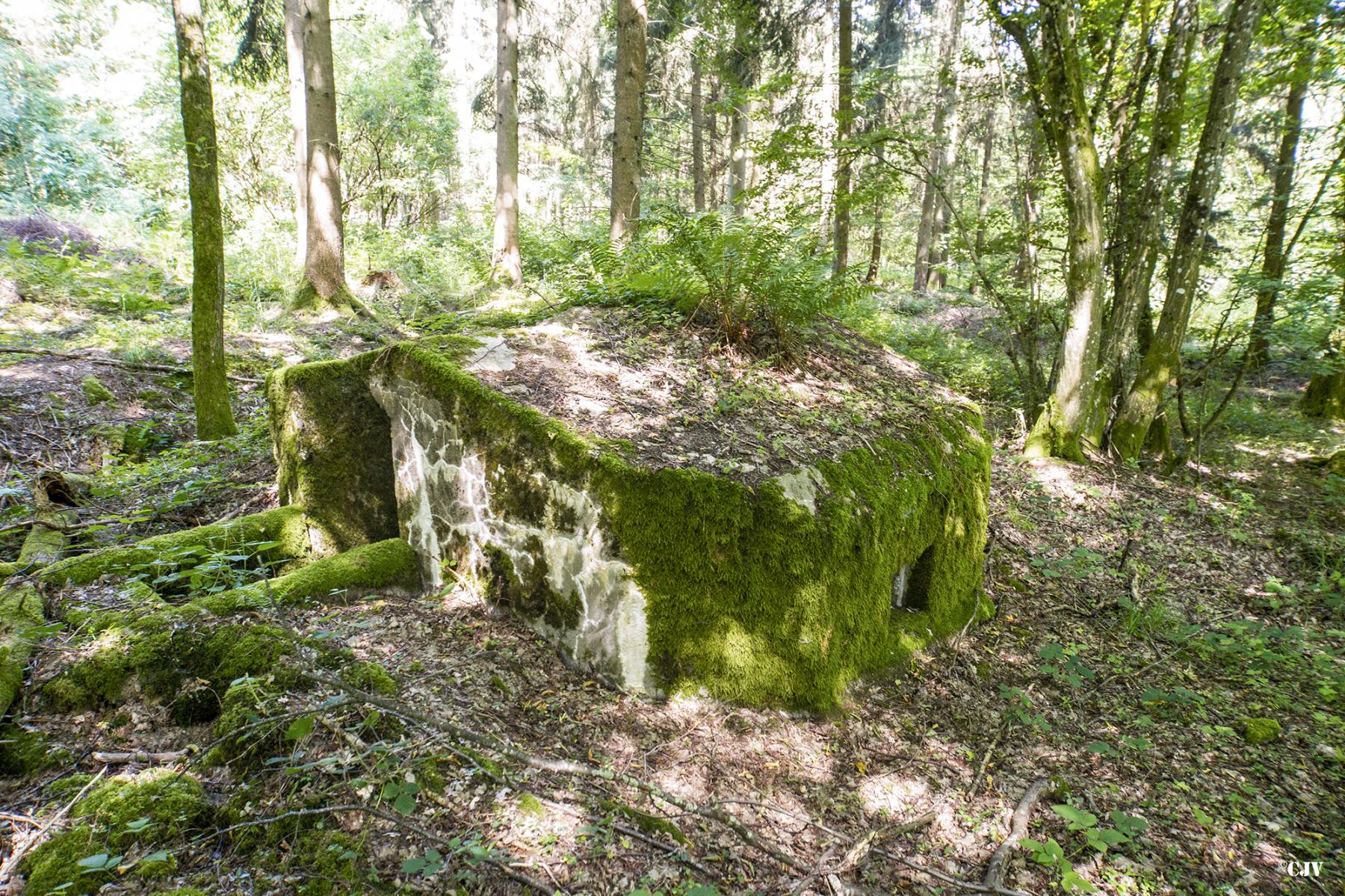 Ligne Maginot - LANGSTWALD 1 - (Blockhaus pour arme infanterie) -  - Lia VERMEULEN