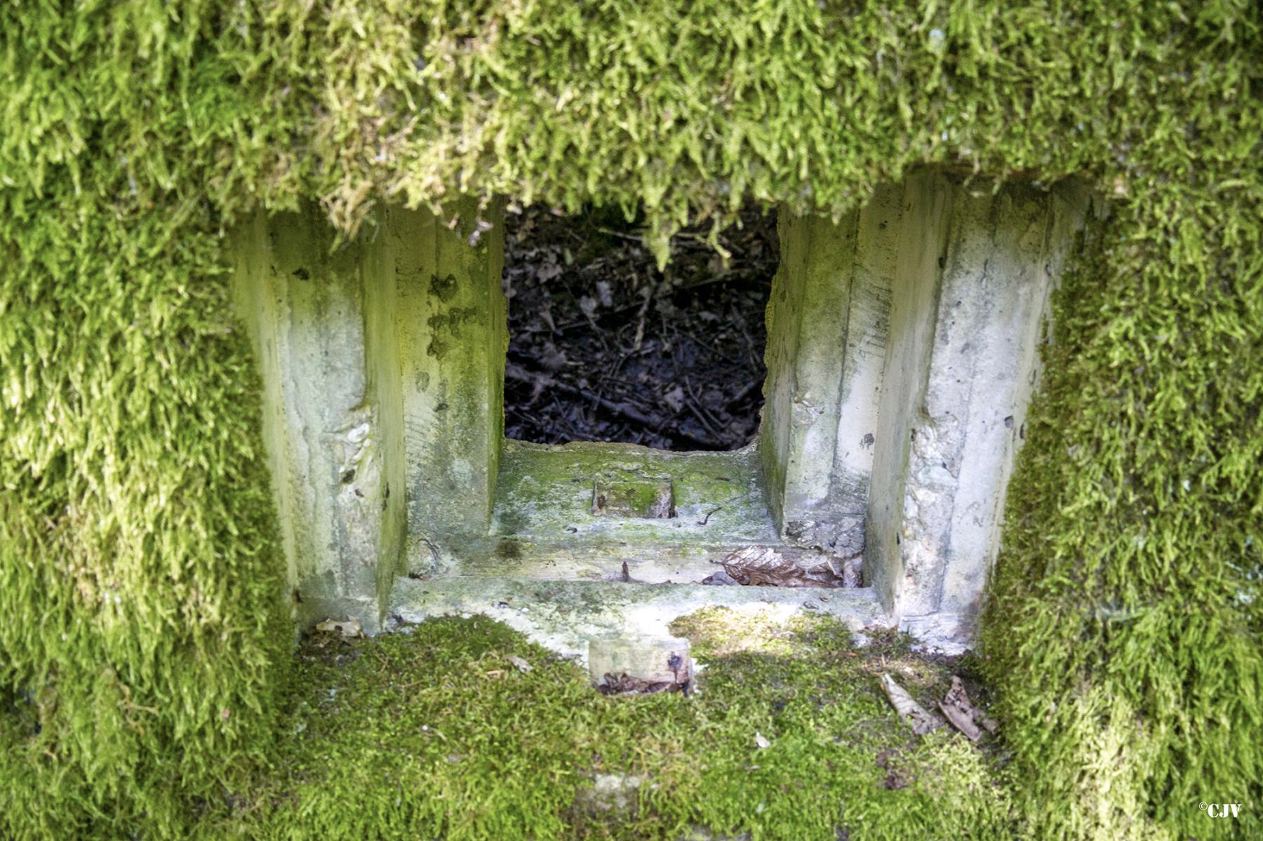 Ligne Maginot - LANGSTWALD 1 - (Blockhaus pour arme infanterie) -  - Lia VERMEULEN
