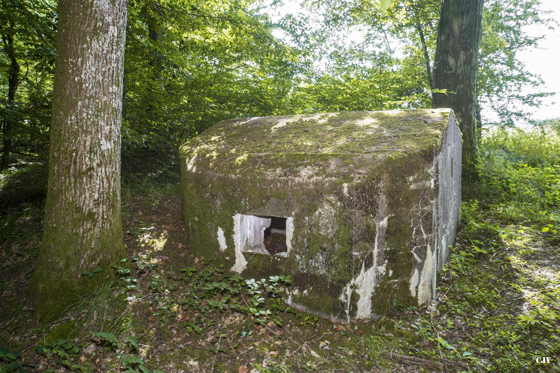 Ligne Maginot - LANGSTWALD 2 - (Blockhaus pour arme infanterie) - 