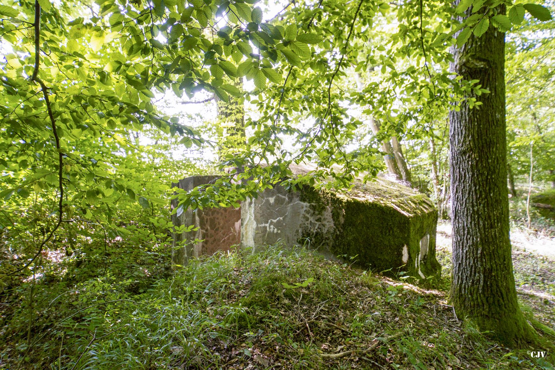 Ligne Maginot - LANGSTWALD 2 - (Blockhaus pour arme infanterie) - 