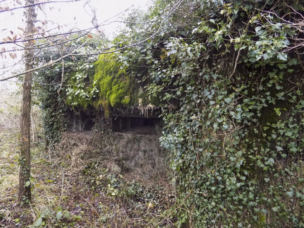 Ligne Maginot - 103 - CHATEAU BELLEVUE - (Blockhaus lourd type STG / STG-FCR - Double) - Face droite