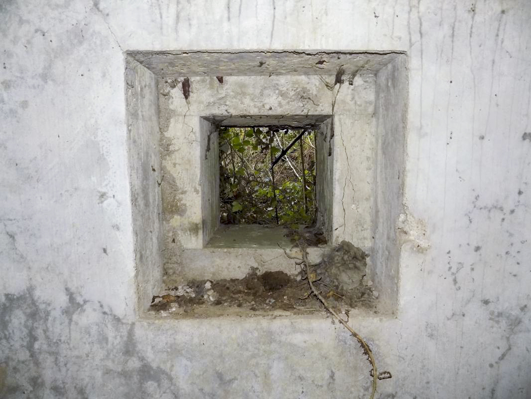 Ligne Maginot - 103 - CHATEAU BELLEVUE - (Blockhaus lourd type STG / STG-FCR - Double) - L'arrière, créneau FM - R Tucker