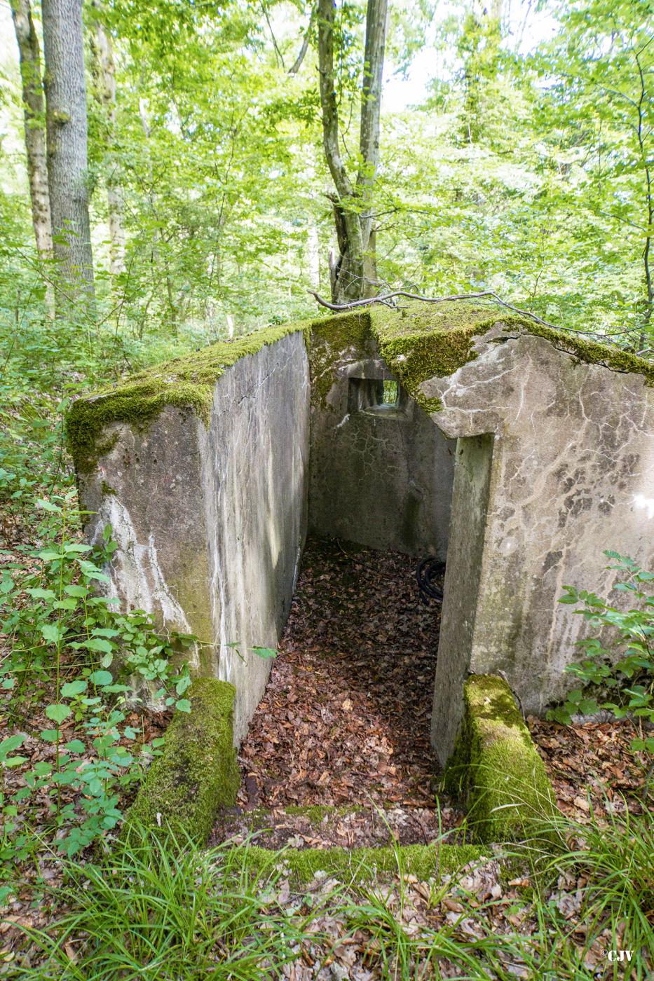 Ligne Maginot - LANGSTWALD 3 - (Blockhaus pour arme infanterie) - 