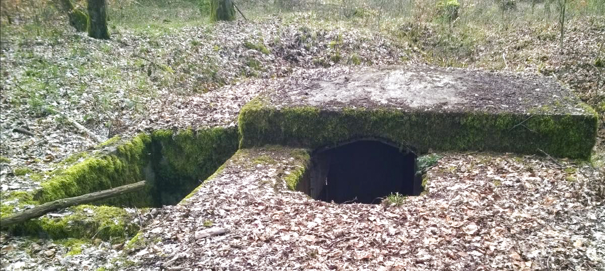 Ligne Maginot - LANGSTWALD 4 (Blockhaus pour arme infanterie) - 