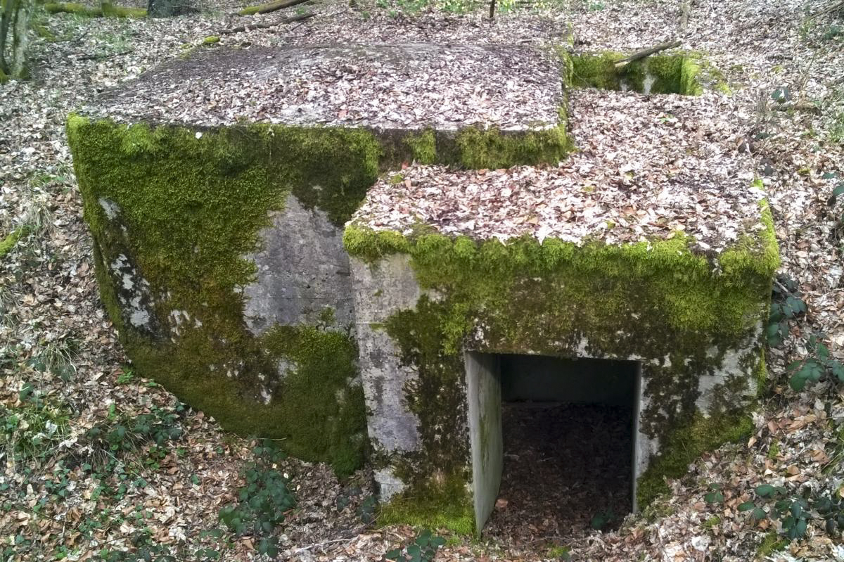 Ligne Maginot - LANGSTWALD 4 (Blockhaus pour arme infanterie) - L'entrée