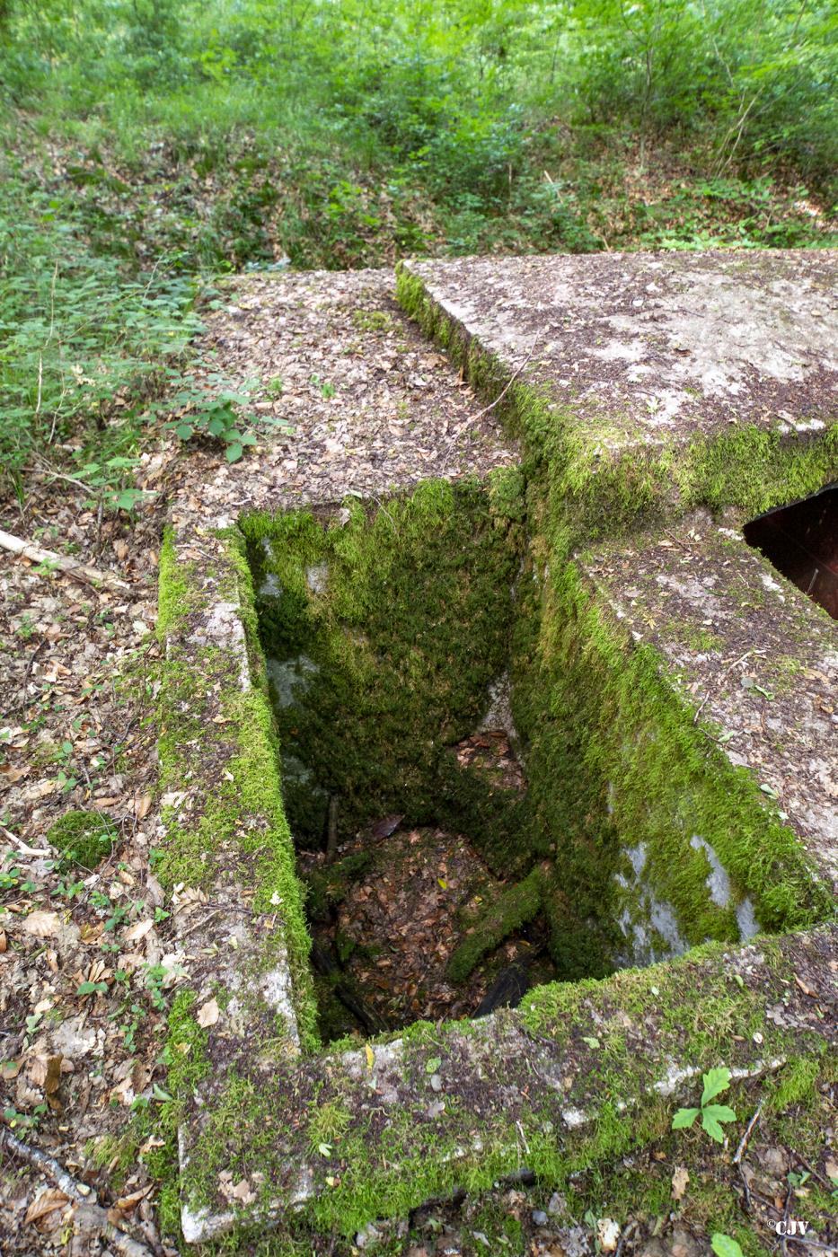 Ligne Maginot - LANGSTWALD 4 - (Blockhaus pour arme infanterie) - Fosse à douilles
