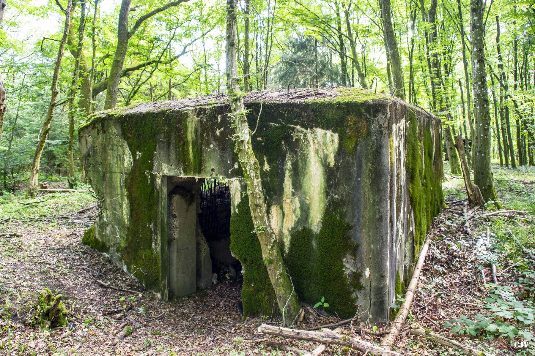 Ligne Maginot - LANGSTWALD 5 - (Blockhaus pour canon) - Entrée du matériel