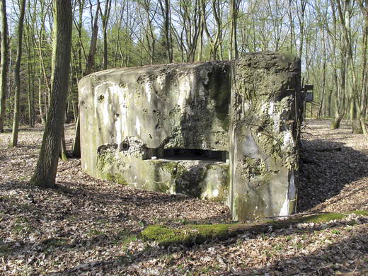 Ligne Maginot - LANGSTWALD 5 (Blockhaus pour canon) - 