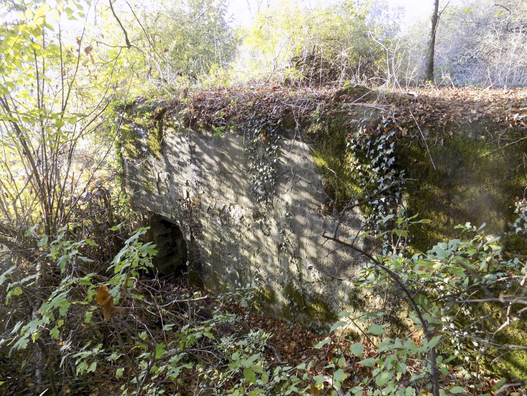 Ligne Maginot - LA BERLIERE (55° CA) - (PC de Secteur) - L'entrée sud-est