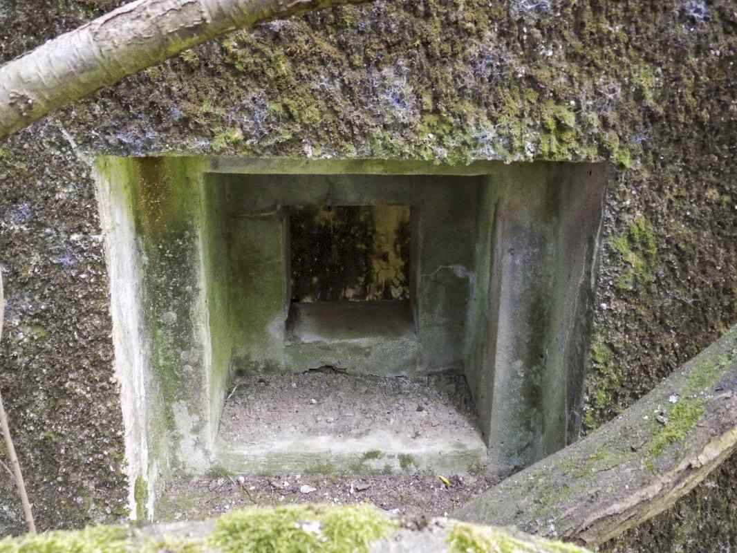 Ligne Maginot - GRAND PAQUIS - (Casemate d'artillerie) - Créneau FM, direction de tir vers l'ouest