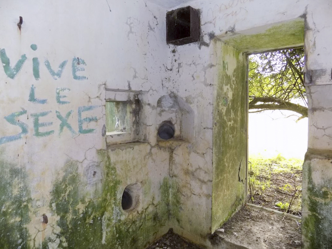 Ligne Maginot - GRAND PAQUIS - (Casemate d'artillerie) - Créneau FM vers l'est et l'entrée hommes