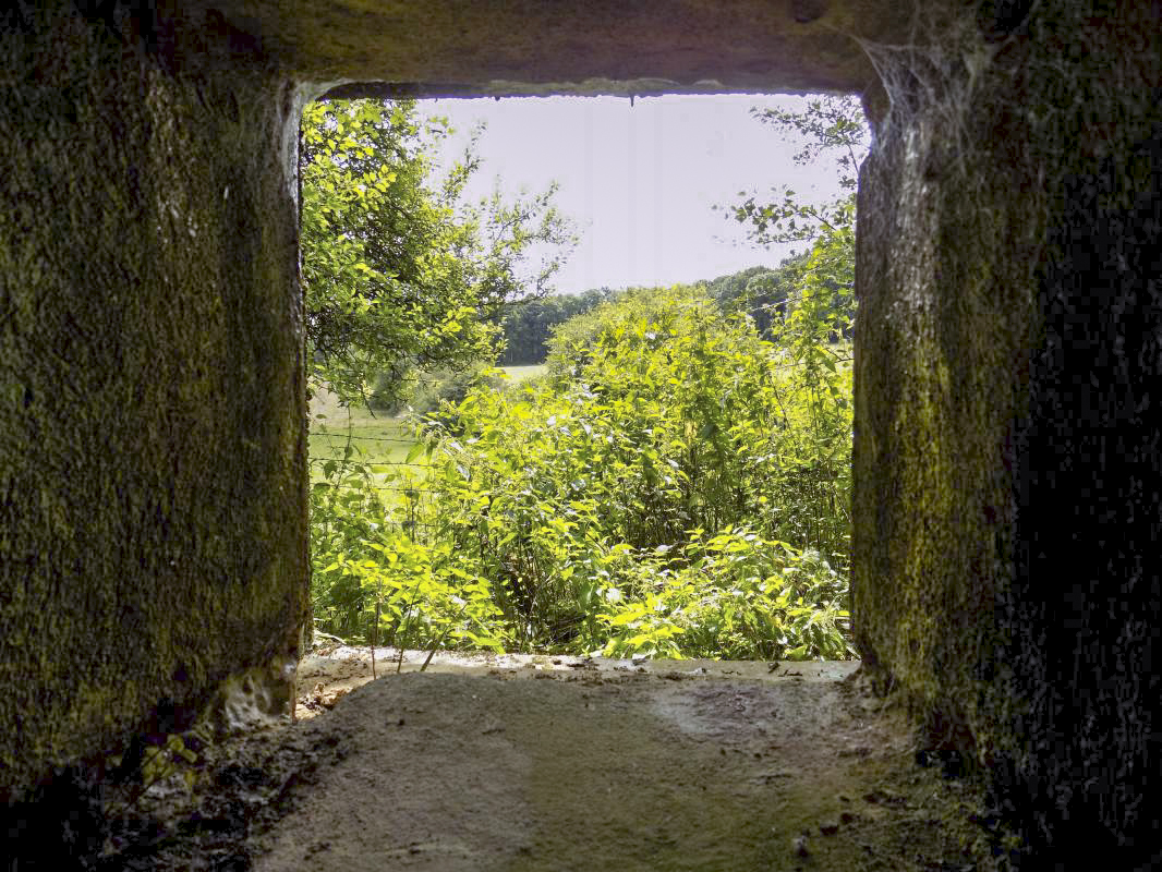 Ligne Maginot - GRAND PAQUIS - (Casemate d'artillerie) - Créneau FM, vue vers le sud-est