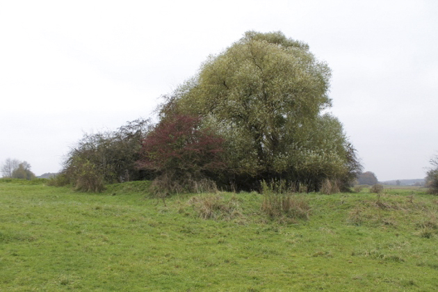 Ligne Maginot - MC30 - STG C - (Casemate d'infanterie - double) - Vue générale - Christian LENHARD