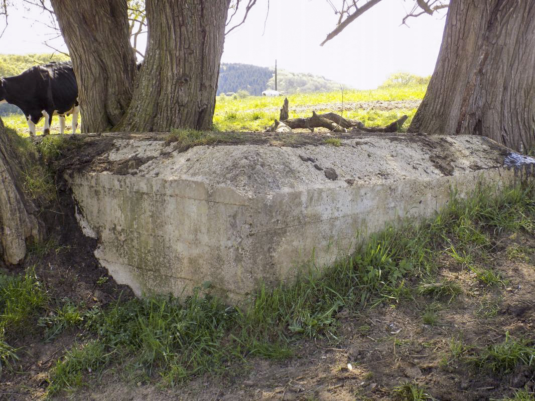 Ligne Maginot - P2 - TERRE LACOUE EST - (Blockhaus pour arme infanterie) - Le fermier a dit qu'il a détruit le bloc Bb129 Reservoir du Paquis Est en 2014...