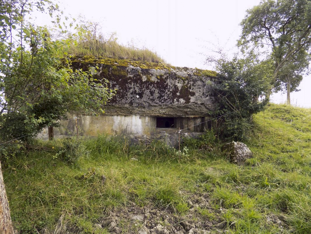 Ligne Maginot - C - OUEST DE FRENOIS - (Blockhaus pour canon) - Face gauche, créneau AC - R Tucker
