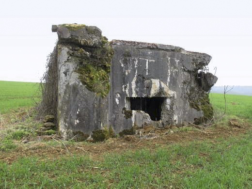 Ligne Maginot - 221 - LA VASALLEE SUD - (Blockhaus pour canon) - 