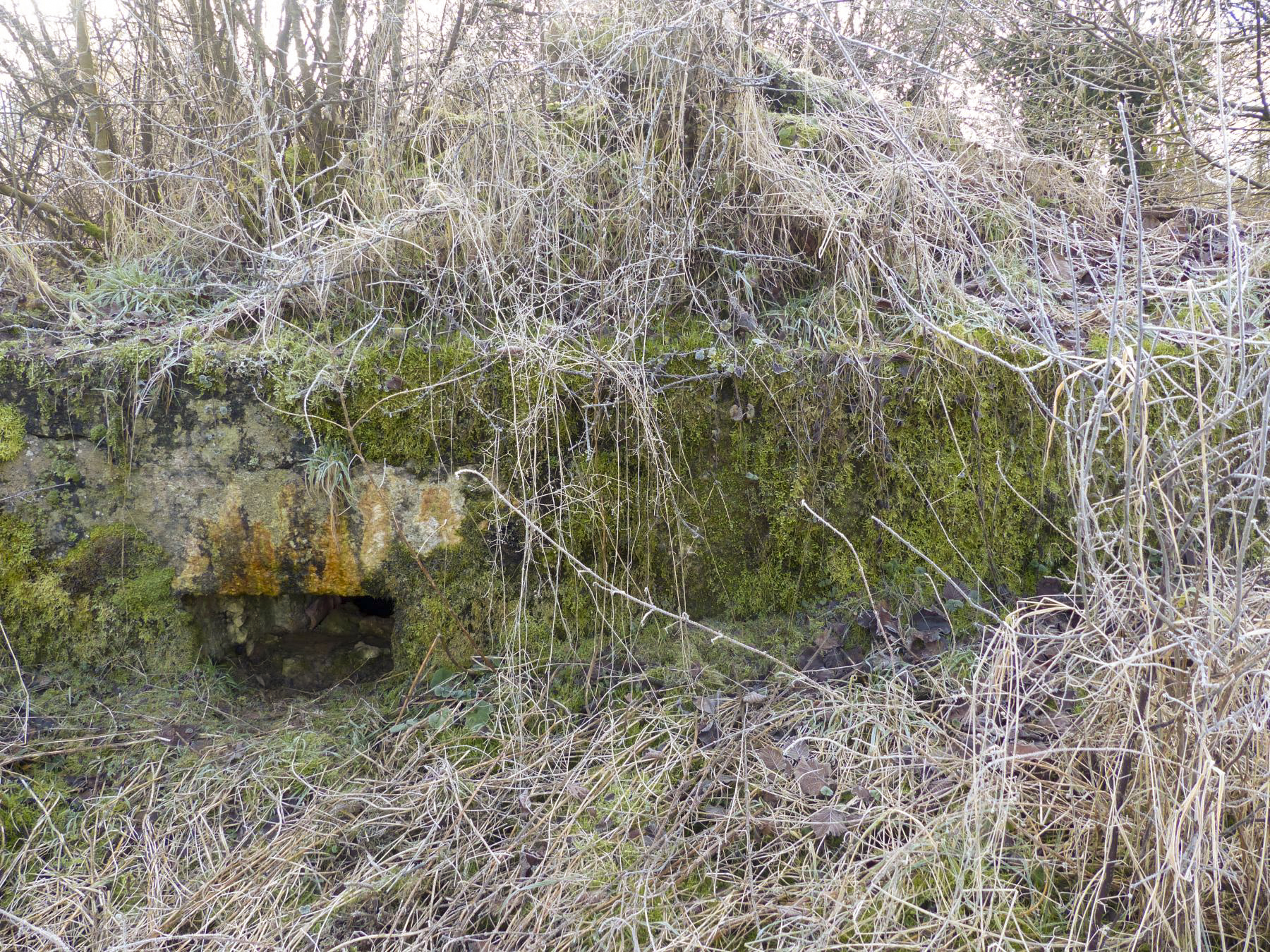 Ligne Maginot - 68 - THONNELLE NORD - (Blockhaus pour arme infanterie) - Le créneau de gauche celui de droite est obstrué par de la terre.