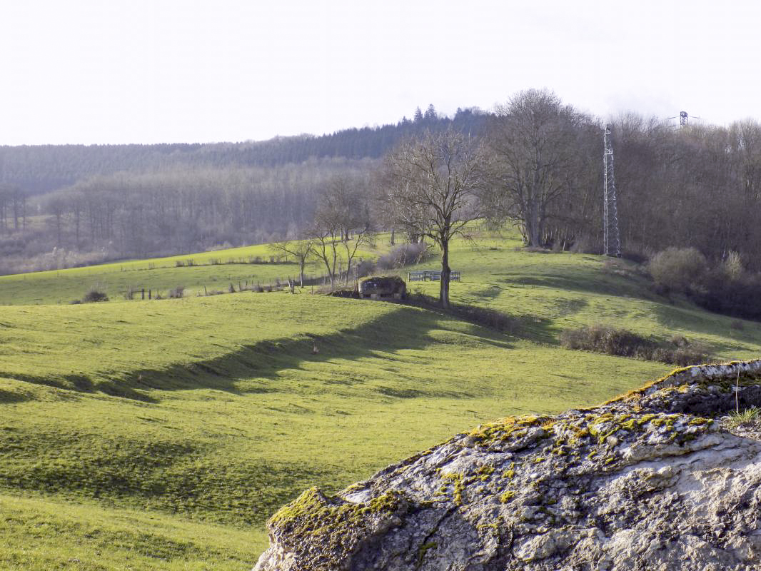 Ligne Maginot - BELLEVUE - (Casemate d'artillerie) - Vue vers le sud ouest, Bb98 à l'arrière plan