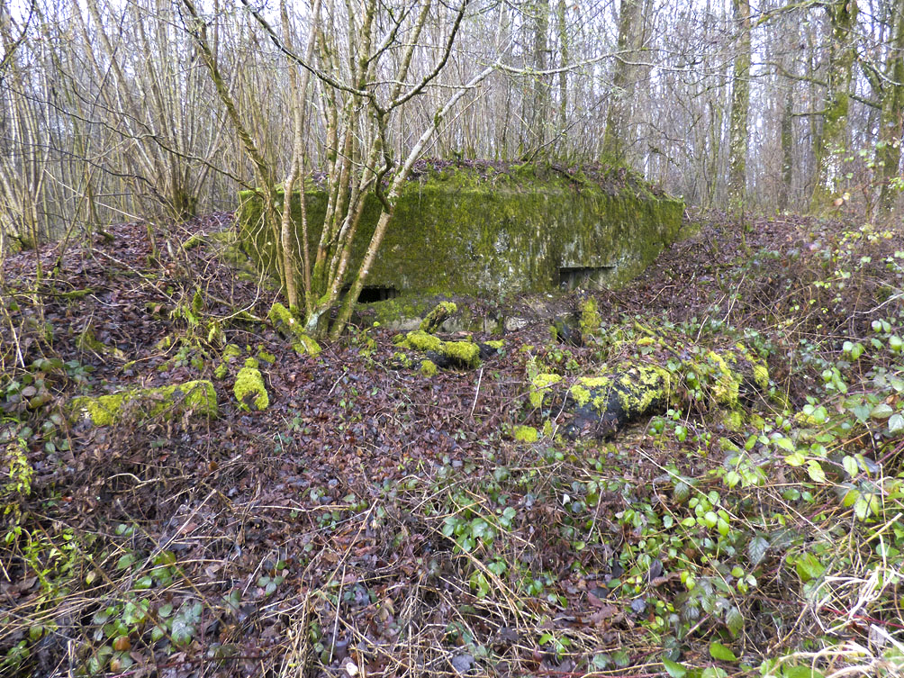 Ligne Maginot - 32A - SAINT OEUVRE - (Blockhaus pour canon) - 
