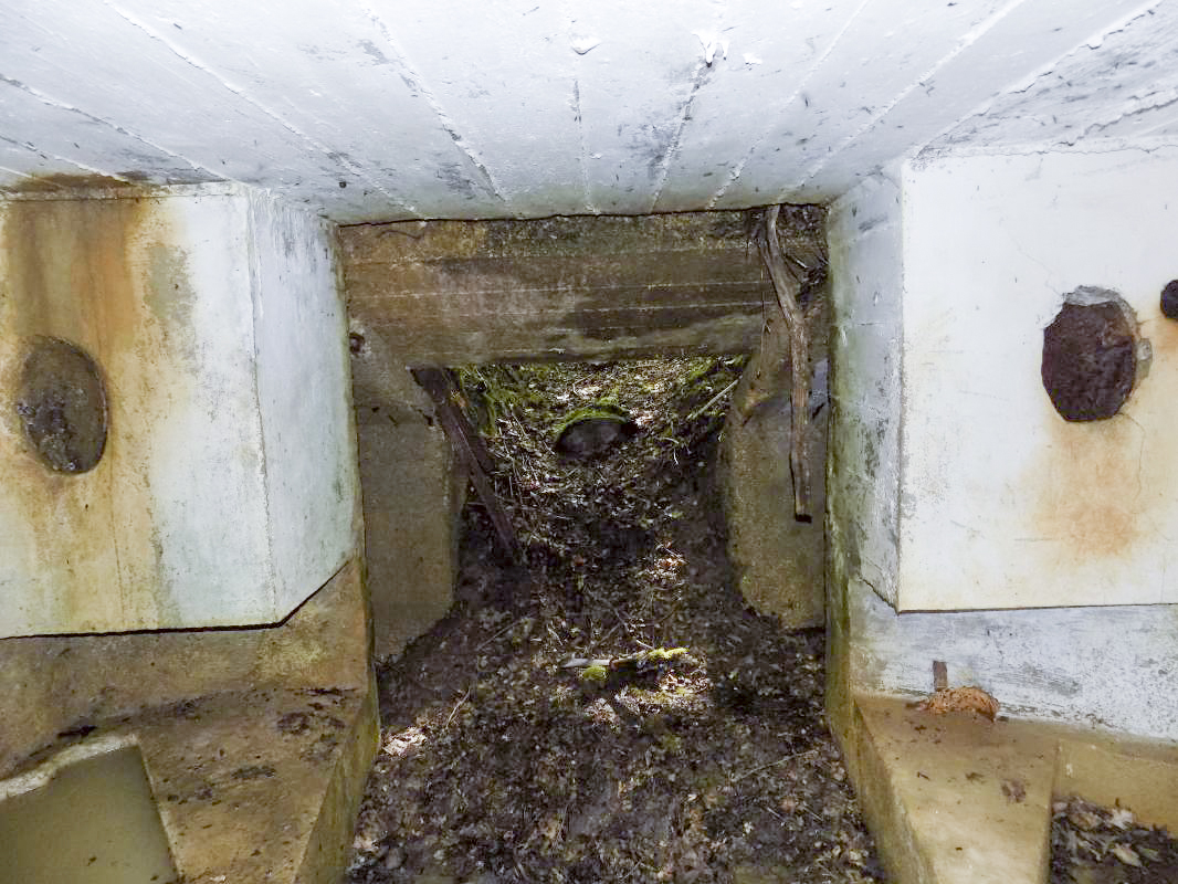 Ligne Maginot - 32A - SAINT OEUVRE - (Blockhaus pour canon) - Vers l'entrée