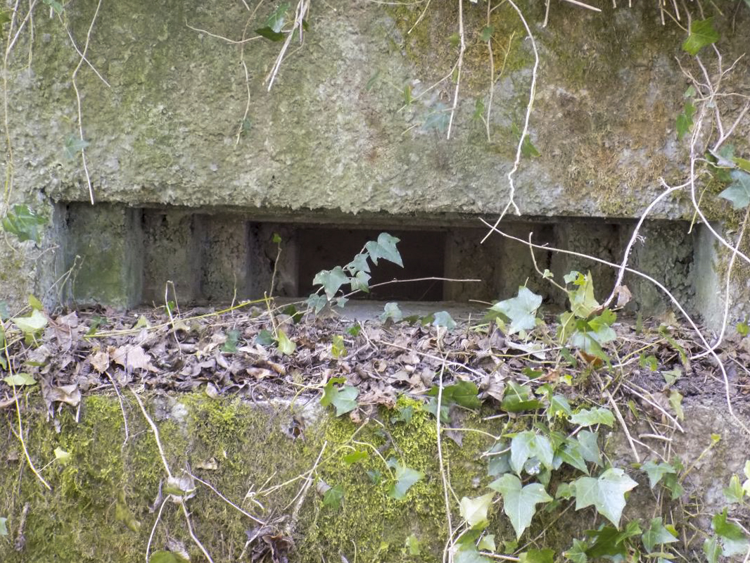 Ligne Maginot - 82BIS - LA NIVRAGNE NORD - (Blockhaus pour canon) - Face frontale, créneau Hotchkiss