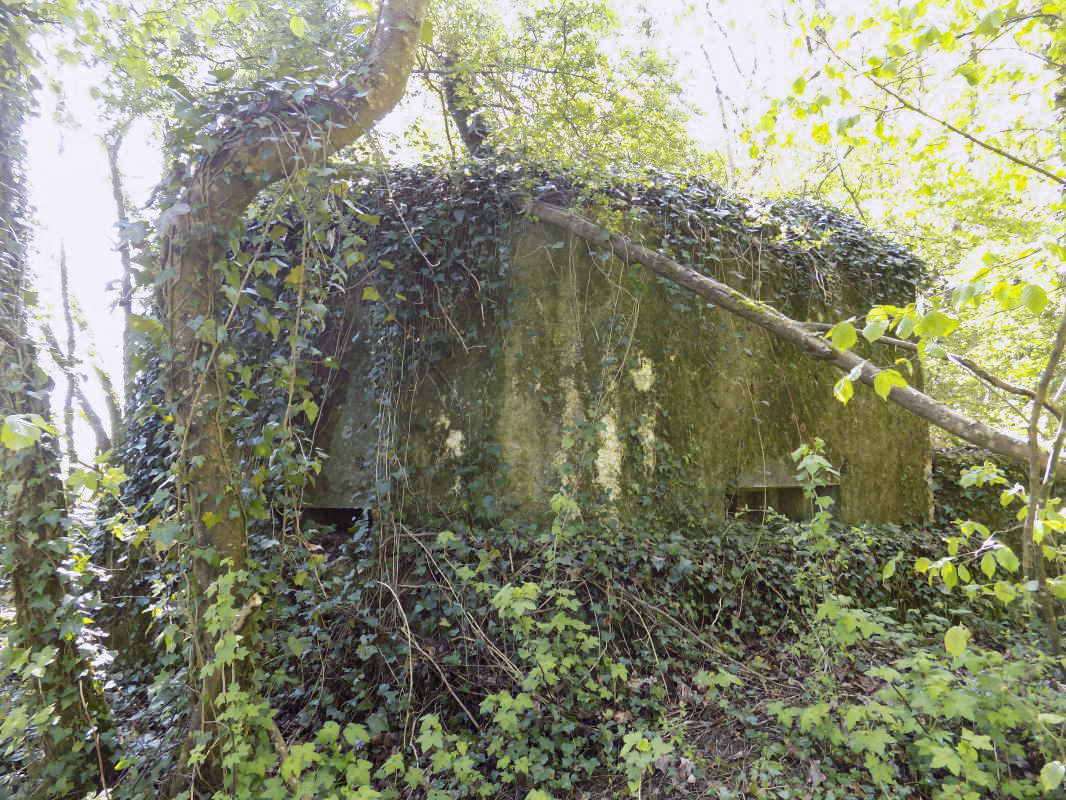 Ligne Maginot - 82BIS - LA NIVRAGNE NORD - (Blockhaus pour canon) - Face gauche frontale et gauche arrière