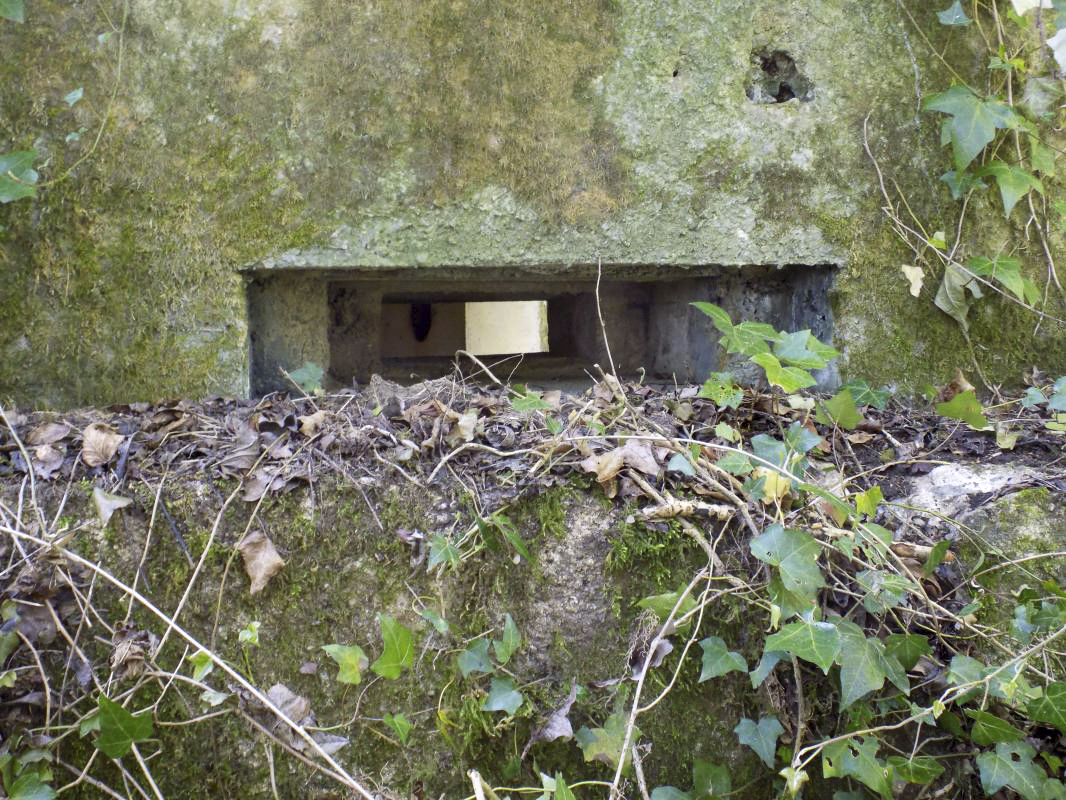 Ligne Maginot - 82BIS - LA NIVRAGNE NORD - (Blockhaus pour canon) - Face gauche frontale créneau FM