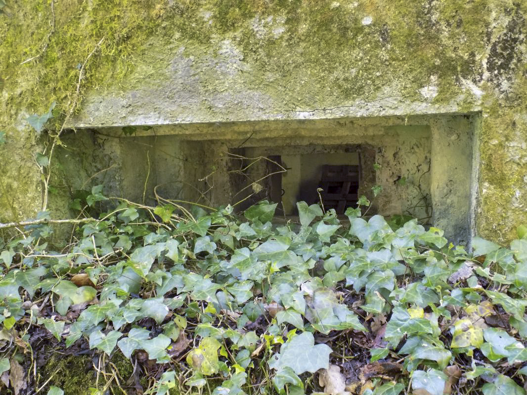Ligne Maginot - 82BIS - LA NIVRAGNE NORD - (Blockhaus pour canon) - Face gauche/l'arrière créneau Hotchkiss
