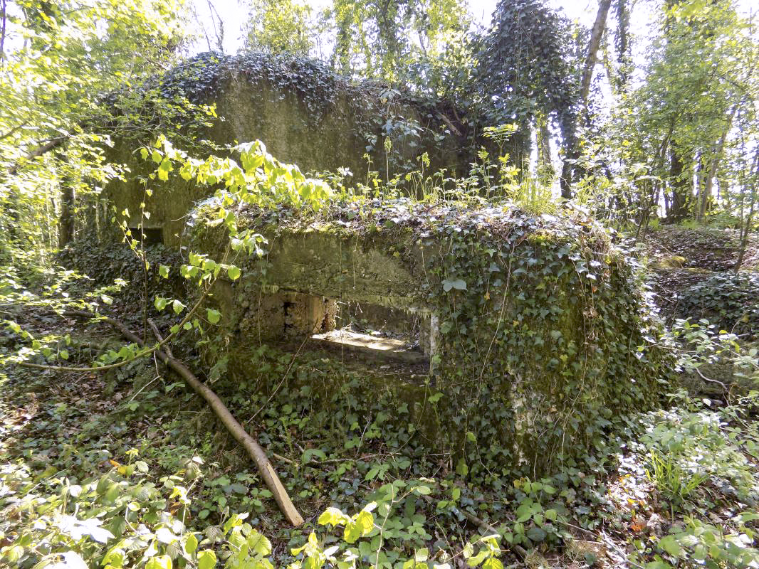 Ligne Maginot - 82BIS - LA NIVRAGNE NORD - (Blockhaus pour canon) - Face gauche/l'arrière et mur externe avec créneau Hotchkiss
