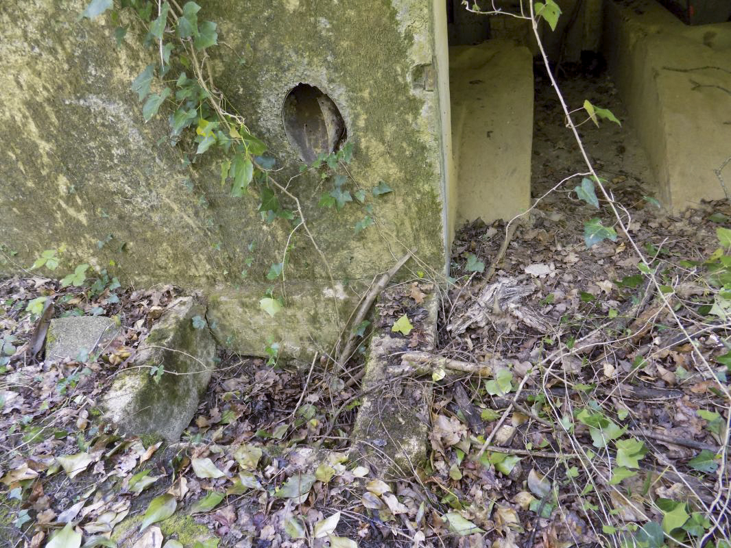 Ligne Maginot - 82BIS - LA NIVRAGNE NORD - (Blockhaus pour canon) - Bac à douilles