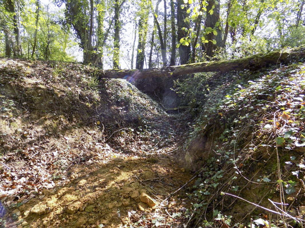 Ligne Maginot - 82BIS - LA NIVRAGNE NORD - (Blockhaus pour canon) - Tranchée d'accès