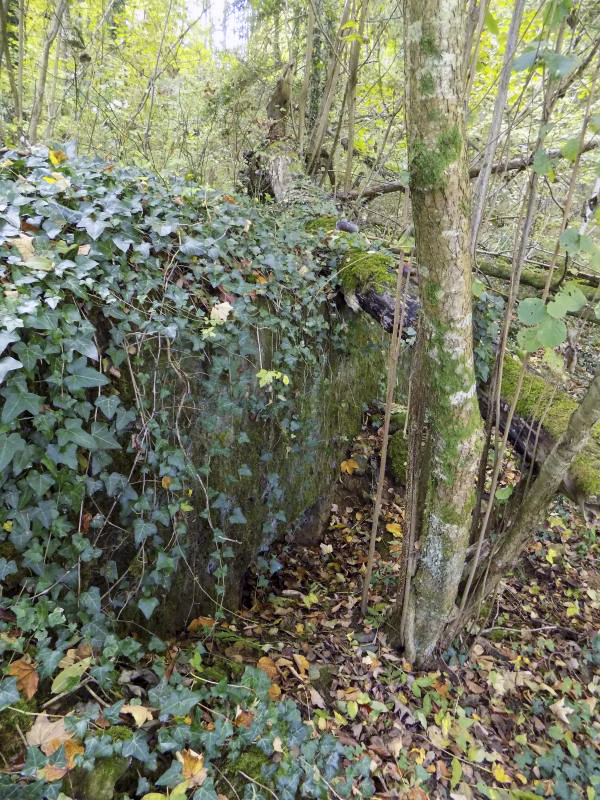 Ligne Maginot - 30A - COTE SAINT MARTIN - (Blockhaus pour canon) - Face frontale