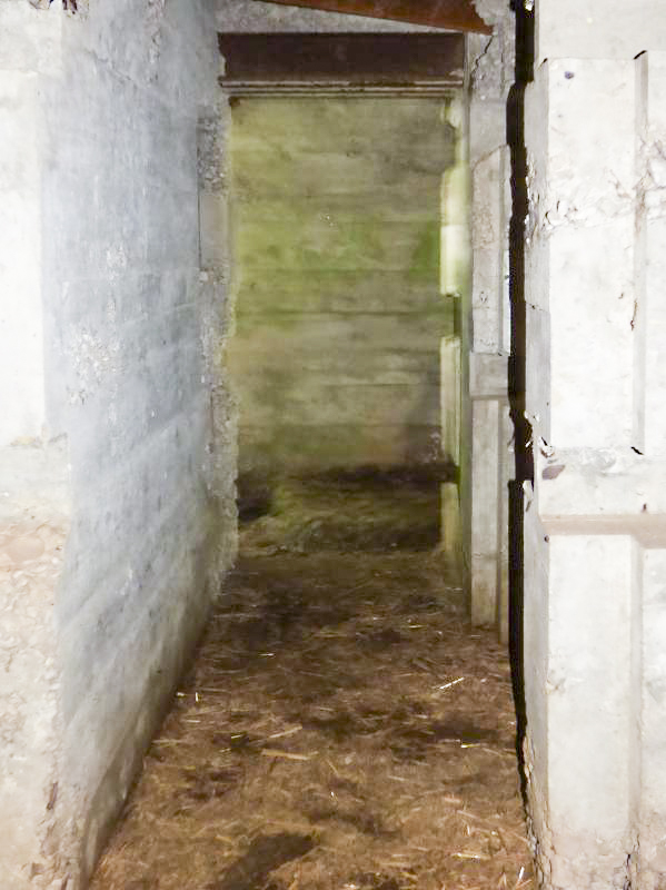 Ligne Maginot - CEZF-17 - LA MAISON DU GARDE - (Casemate d'infanterie - double) - 