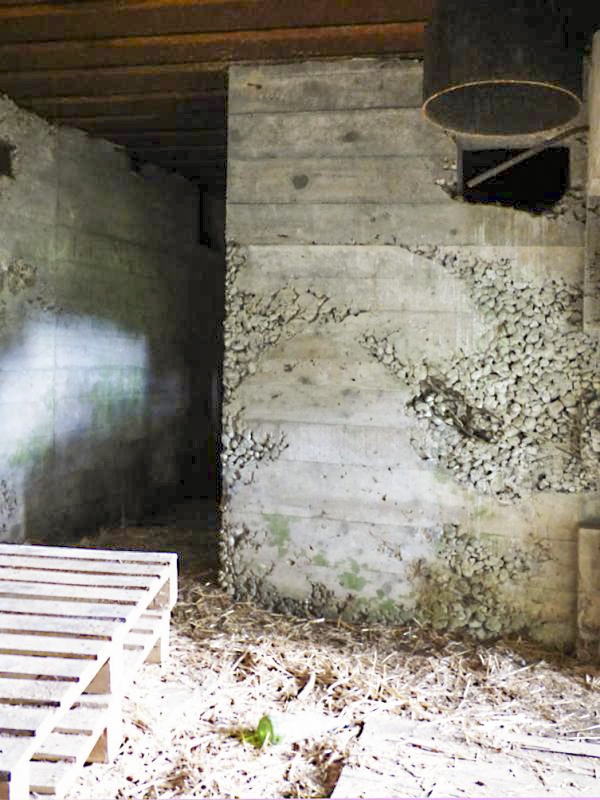 Ligne Maginot - CEZF-17 - LA MAISON DU GARDE - (Casemate d'infanterie - double) - 