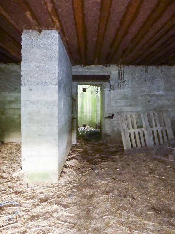 Ligne Maginot - CEZF-17 - LA MAISON DU GARDE - (Casemate d'infanterie - double) - 