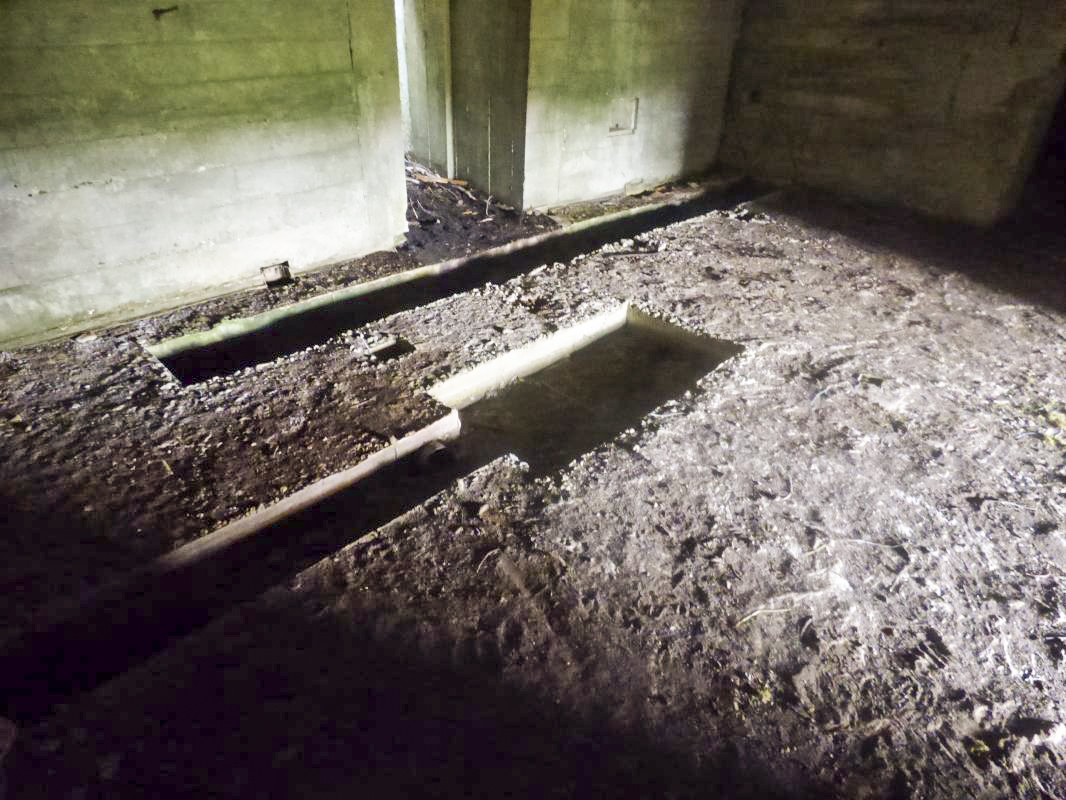 Ligne Maginot - CEZF-18 - LA CASSINE OUEST - (Casemate d'infanterie - double) - 