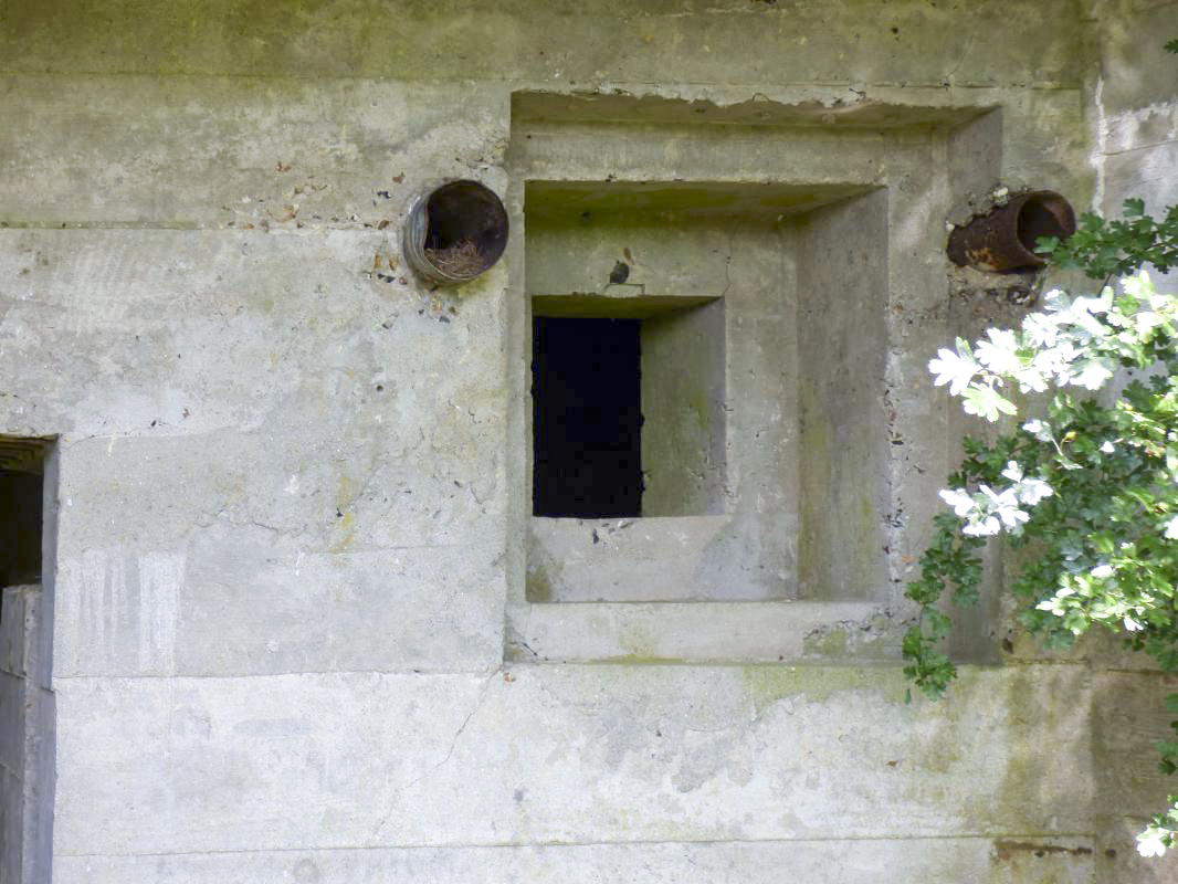 Ligne Maginot - CEZF-18 - LA CASSINE OUEST - (Casemate d'infanterie - double) - 