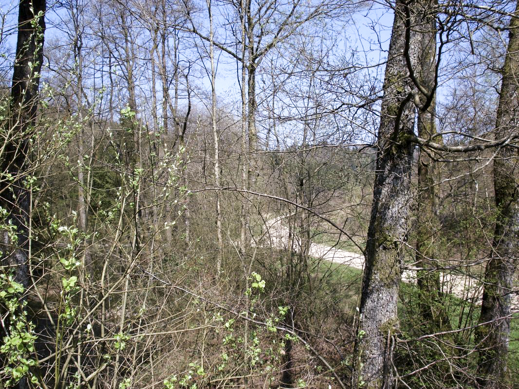 Ligne Maginot - MF15 - R - BOUCHON LOUIS VAL - (Poste GRM - Maison Forte) - Vue vers le nord