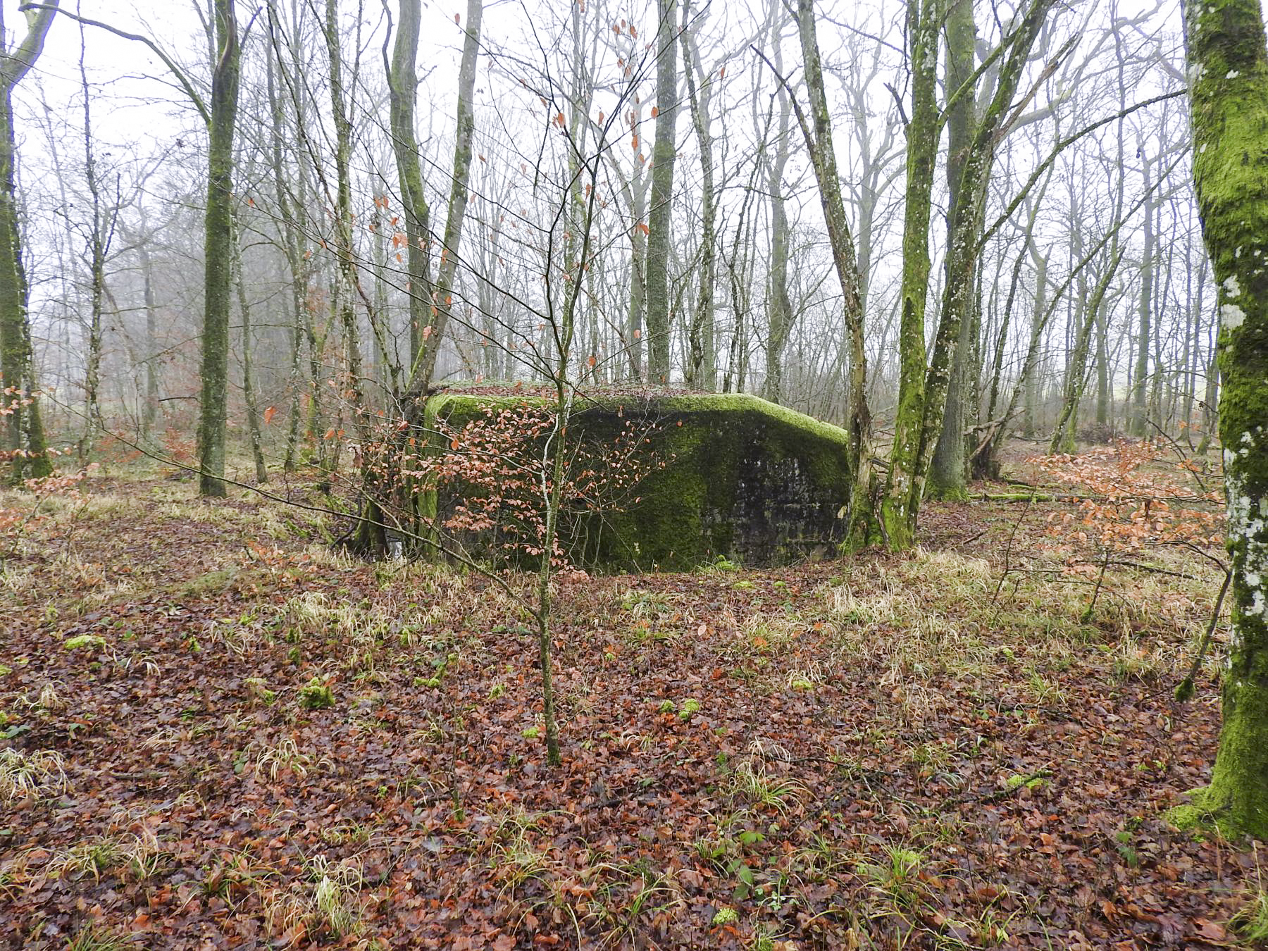 Ligne Maginot - ROHRWALD NORD - (Blockhaus pour arme infanterie) - Le blockhaus pour mitrailleuse.