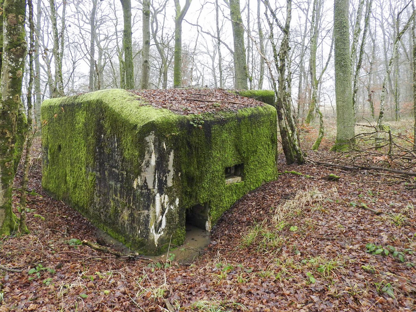 Ligne Maginot - ROHRWALD NORD - (Blockhaus pour arme infanterie) - L'entrée et le créneau FM de défense rapproché.