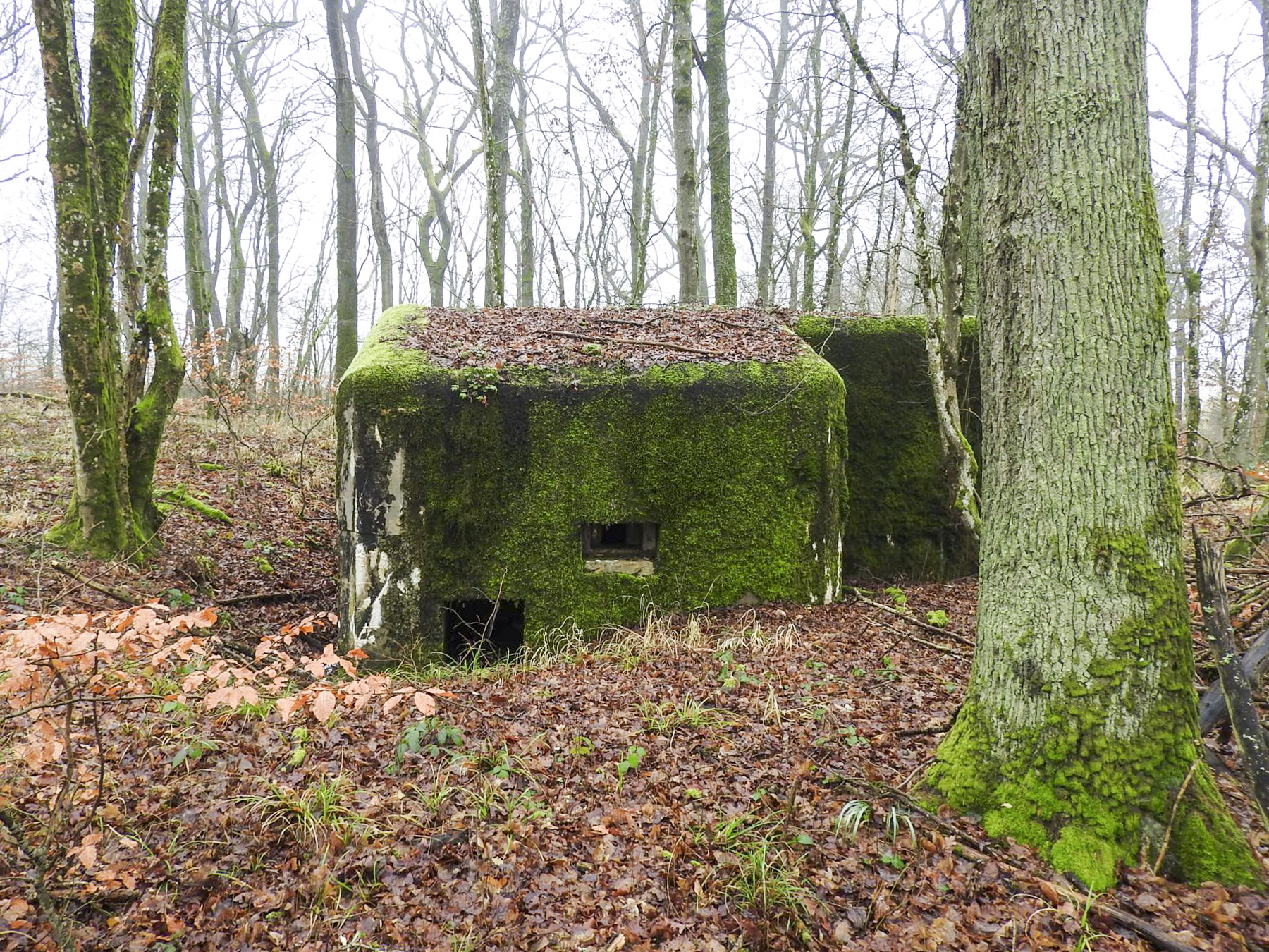 Ligne Maginot - ROHRWALD NORD - (Blockhaus pour arme infanterie) - L'entrée et le créneau FM de défense rapproché.