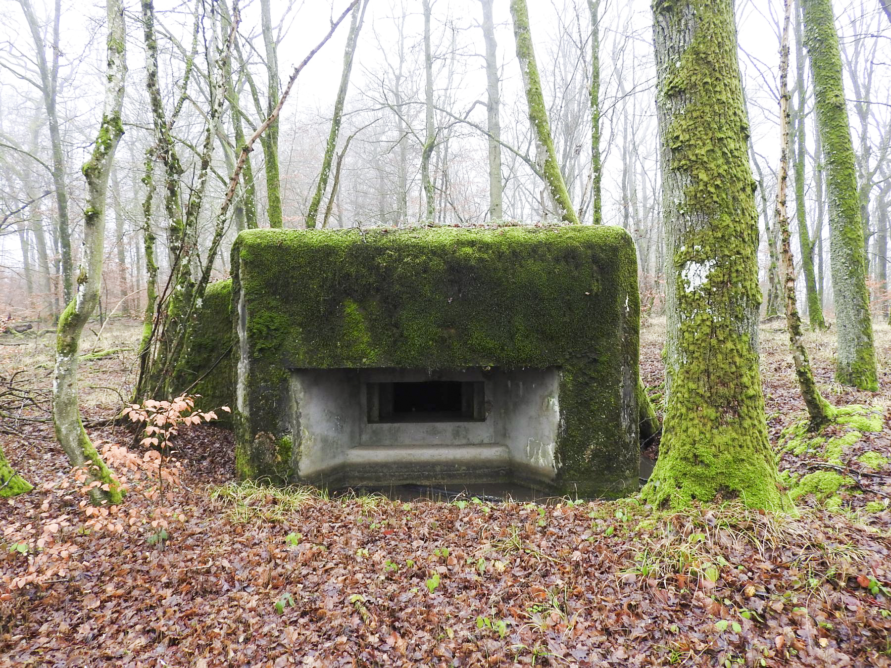 Ligne Maginot - ROHRWALD NORD - (Blockhaus pour arme infanterie) - La façade de tir du blockhaus.