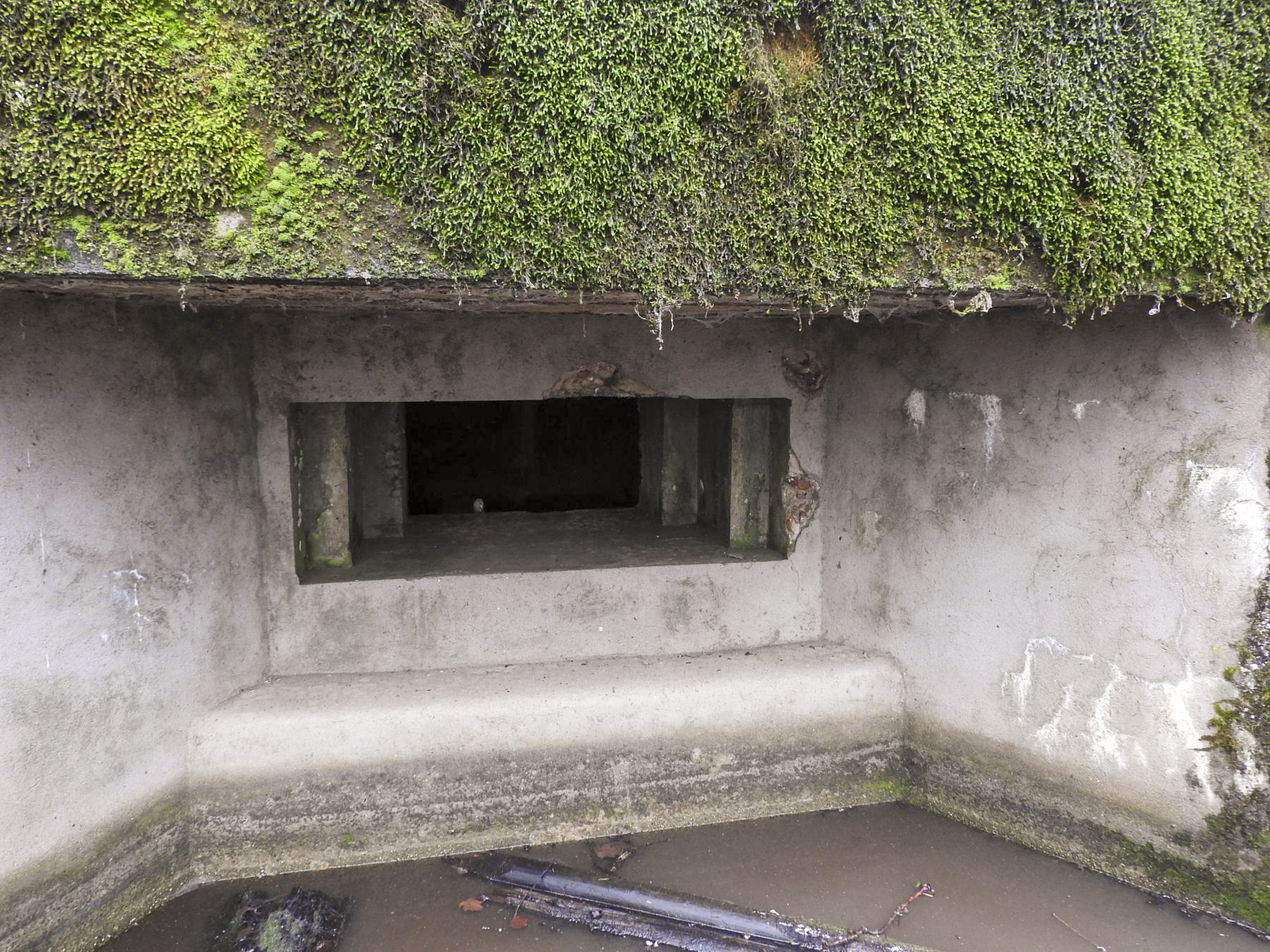 Ligne Maginot - ROHRWALD NORD - (Blockhaus pour arme infanterie) - L'embrasure pour mitrailleuse. - STENGER Mathieu