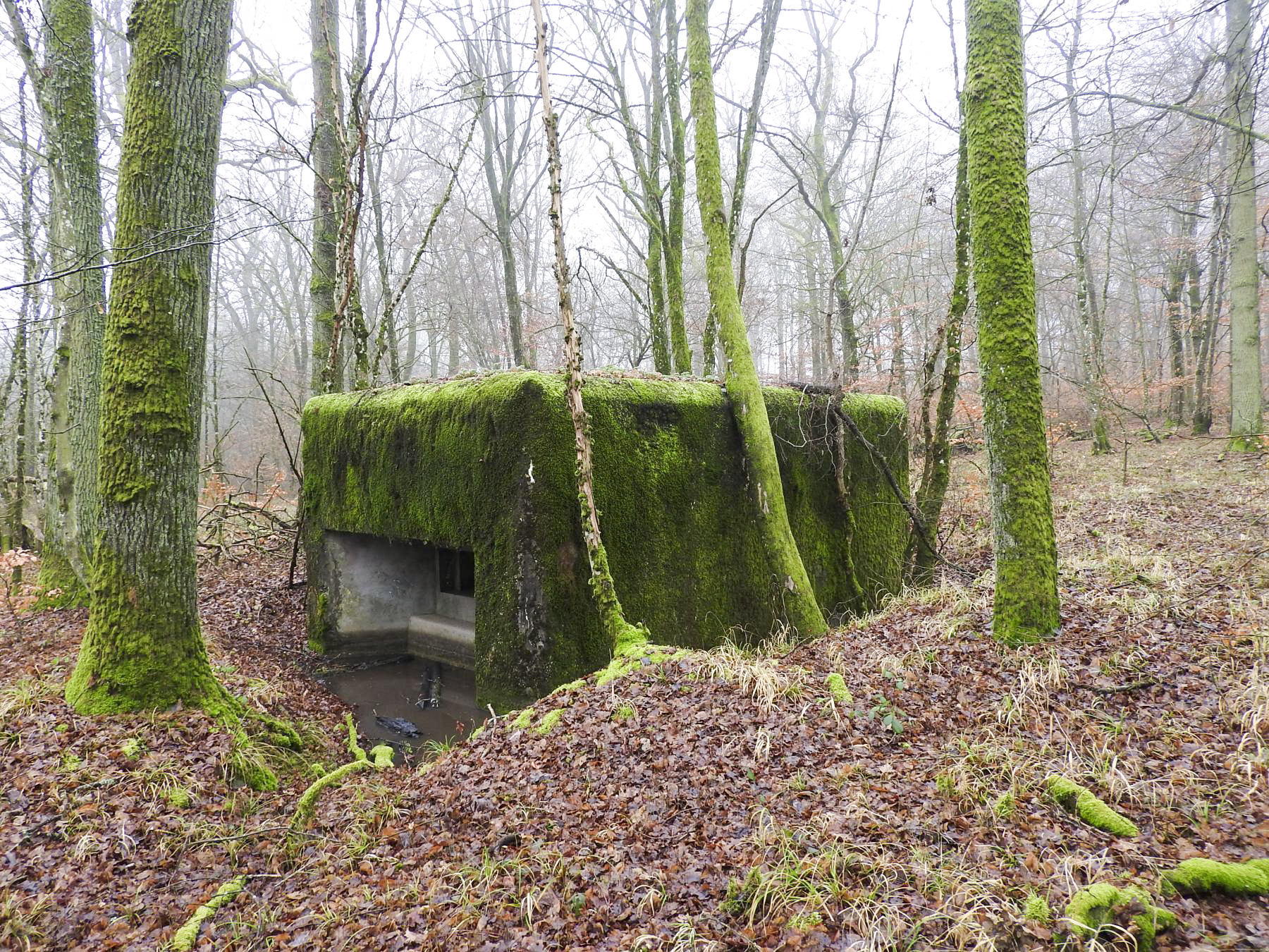 Ligne Maginot - ROHRWALD NORD - (Blockhaus pour arme infanterie) - La façade de tir.