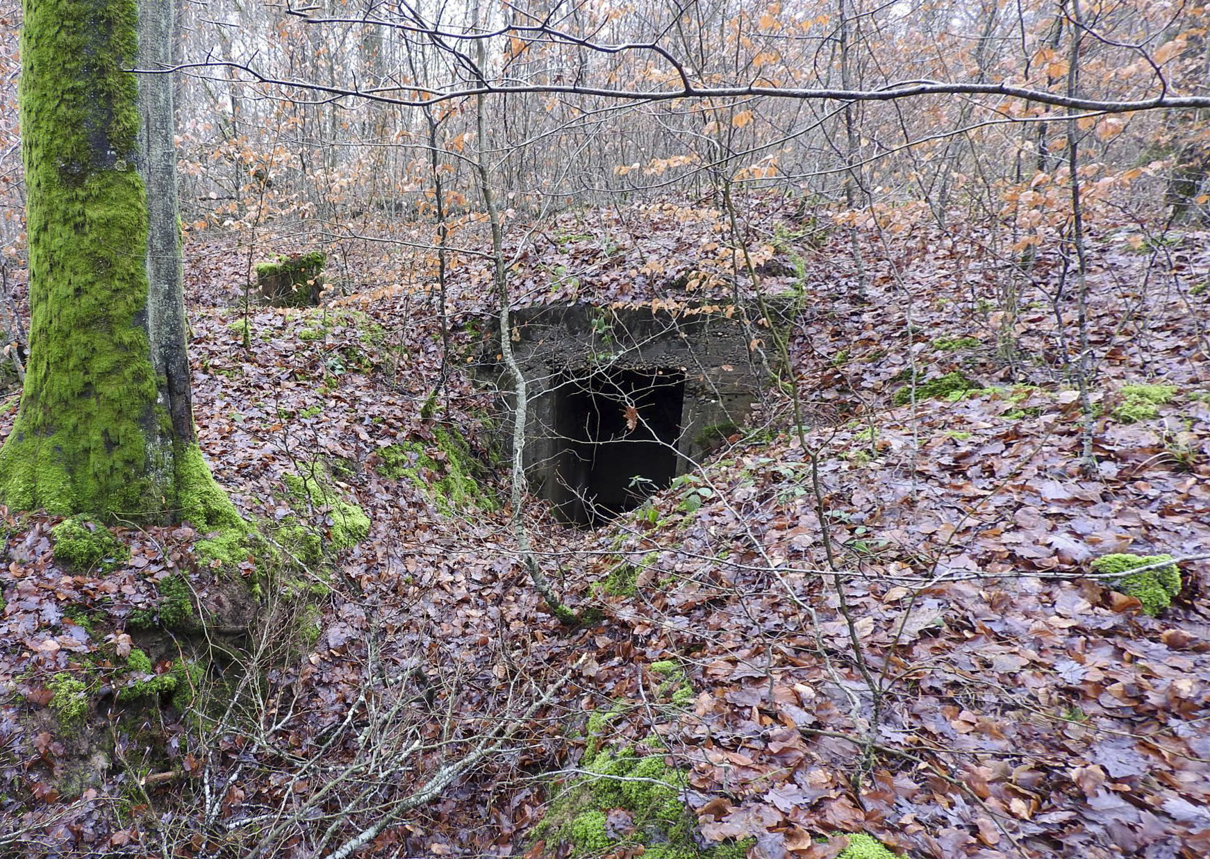 Ligne Maginot - BEWINKEL (I/174° RMIF) - (PC de Quartier) - L'une des entrées du PC.