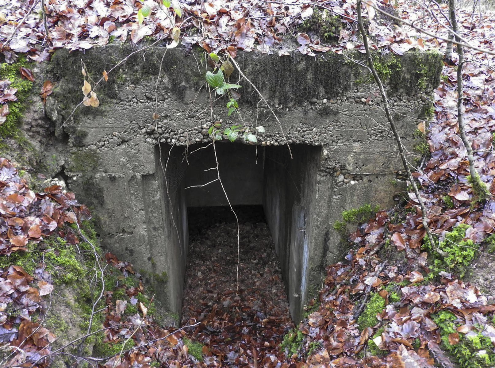 Ligne Maginot - BEWINKEL (I/174° RMIF) - (PC de Quartier) - L'une des entrées du PC.